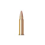 Hornady HP XTP Varmint Express .17 HMR 20gr (83172) - 2